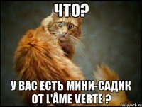 что? у вас есть мини-садик от l'âme verte ?