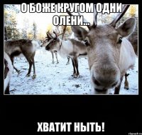 о боже кругом одни олени... хватит ныть!