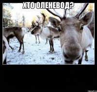 хто оленевод? 