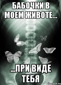 бабочки в моем животе... ...при виде тебя