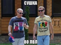 сушка 80 лвл