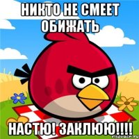 никто не смеет обижать настю! заклюю!!!