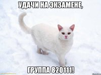 удачи на экзамене, группа 820111!