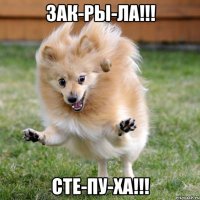 зак-ры-ла!!! сте-пу-ха!!!