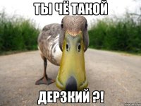 ты чё такой дерзкий ?!