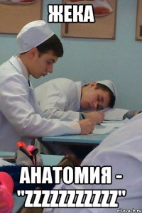 жека анатомия - "zzzzzzzzzzz"