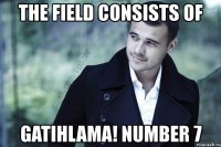 the field consists of gatihlama! number 7