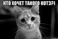 кто хочет такого котэ?) 