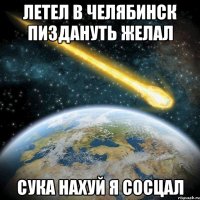 летел в челябинск пиздануть желал сука нахуй я сосцал