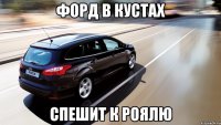 форд в кустах спешит к роялю