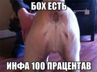 бох есть инфа 100 працентав