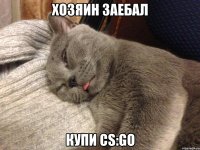 хозяин заебал купи cs:go