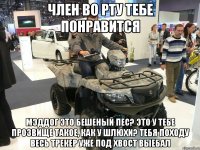 член во рту тебе понравится мэддог это бешеный пес? это у тебе прозвище такое, как у шлюхи? тебя походу весь трекер уже под хвост выебал