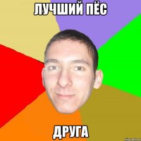 лучший пёс друга