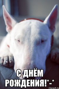  с днём рождения!*-*