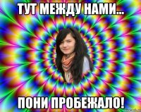 тут между нами... пони пробежало!