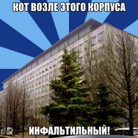 кот возле этого корпуса инфальтильный!