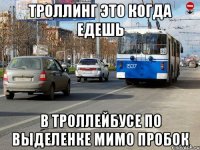 троллинг это когда едешь в троллейбусе по выделенке мимо пробок