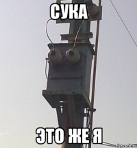 cука это же я