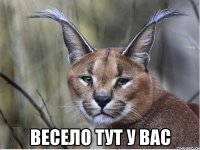  весело тут у вас