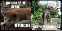 До победы в кубке или чемпионства И ПОСЛЕ
