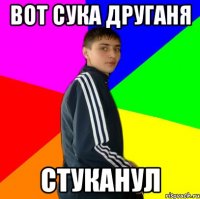 вот сука друганя стуканул