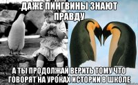 даже пингвины знают правду а ты продолжай верить тому что говорят на уроках истории в школе