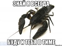 знай я всегда буду и тебя в тиме