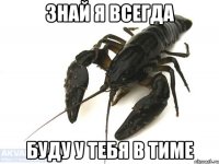 знай я всегда буду у тебя в тиме