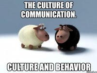 the culture of communication. culture and behavior