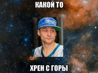 какой то хрен с горы