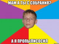 мам а ты с собрания? а я пропылисосил