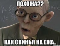 похожа?? как свинья на ежа..