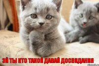 эй ты кто такой давай досвидания