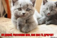 Ну давай, расскажи мне, как вас ГБ дрючит
