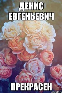 денис евгеньевич прекрасен