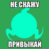 не скажу привыкай