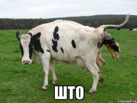  што