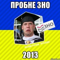 пробне зно 2013
