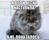 а вот и весна наступила! а не, показалось...