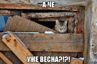 а че уже весна?!?!