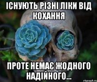 існують різні ліки від кохання проте немає жодного надійного…