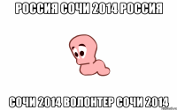 россия сочи 2014 россия сочи 2014 волонтер сочи 2014