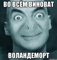 во всём виноват воландеморт