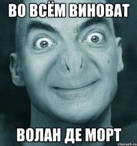 во всём виноват волан де морт