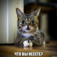  что вы несете?