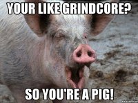 your like grindcore? so you're a pig!