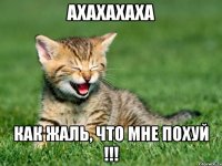 ахахахаха как жаль, что мне похуй !!!