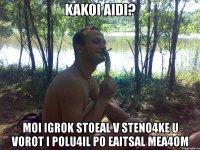 kakoi aidi? moi igrok stoeal v steno4ke u vorot i polu4il po eaitsal mea4om