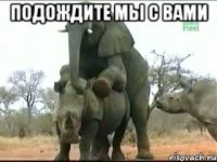 подождите мы с вами 